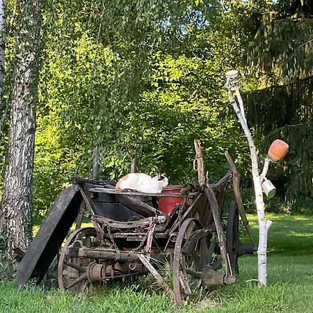 Fonfa Liget * Sénye