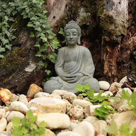 Fonfa Liget Gasthof Sénye